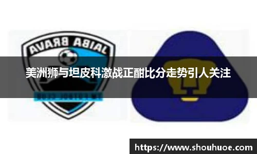 美洲狮与坦皮科激战正酣比分走势引人关注